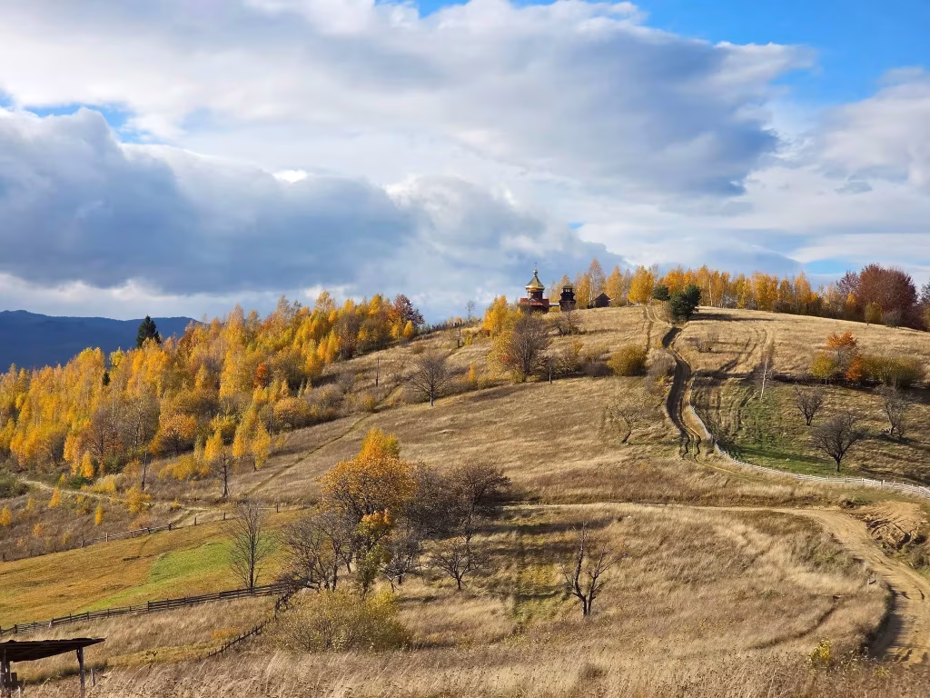 12 листопада