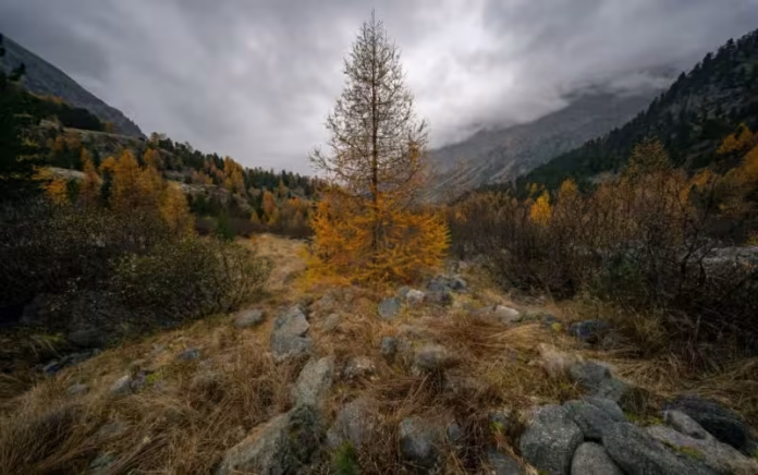 22 листопада