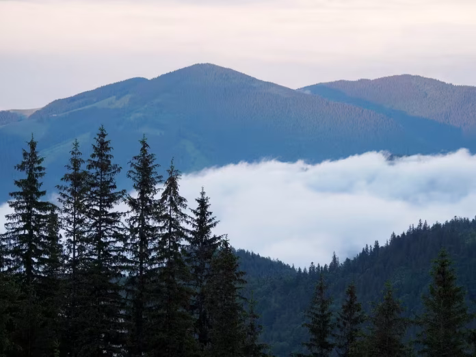 24 листопада