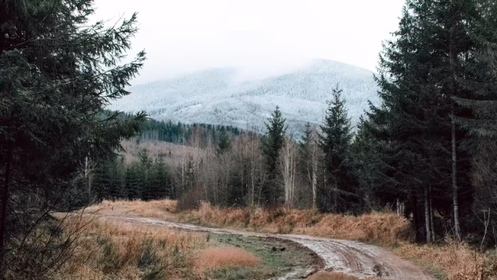 26 листопада 26 листопада