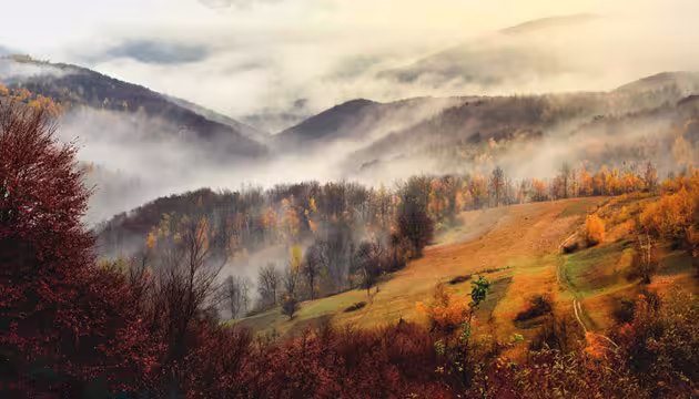 29 листопада 29 листопада