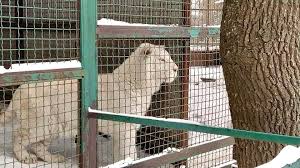 Екопарк Фельдмана